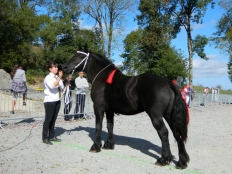 Photo de l'actualité