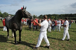 Photo de l'actualité