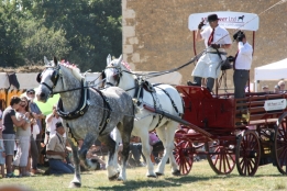 Photo de l'actualité