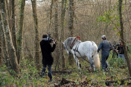 Photo de l'actualité