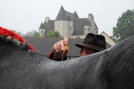 Photo de l'actualité