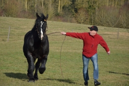 Photo de l'actualité