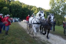 Photo de l'actualité