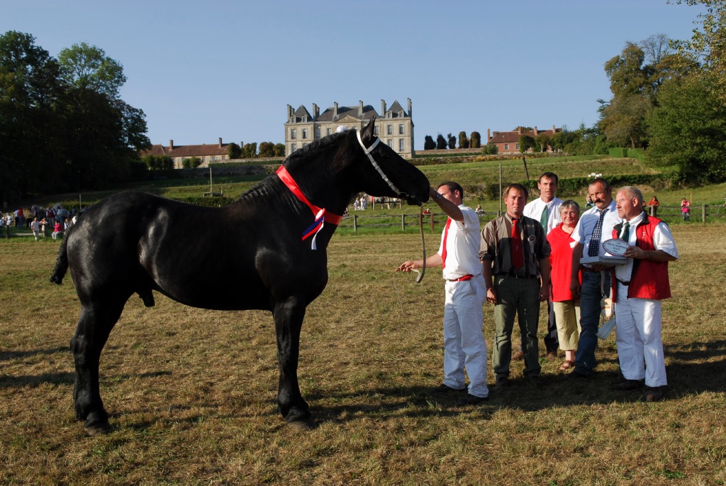 Seigneur des Hâtes - Photo : Jean-Léo Dugast