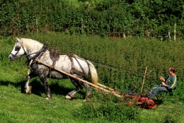 Photo de l'actualité