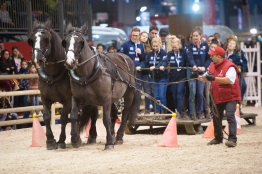 Photo de l'actualité