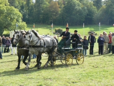 Photo de l'actualité