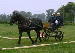 Photo de l'actualité