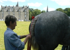 Photo de l'actualité