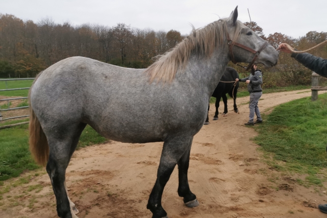 Milka De La Tremblaie