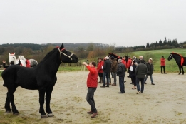 Photo de l'actualité