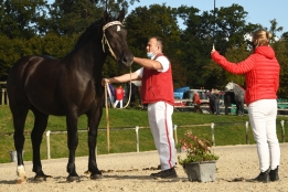 Photo de l'actualité